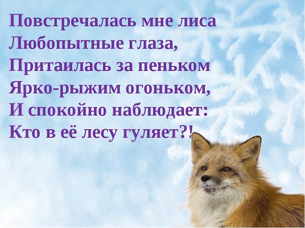 Предложение со словом лисица. Повстречалась мне лиса. Предложение со словом лиса. Предложение со словом лисица 1 класс. Предложенис словом лиса.