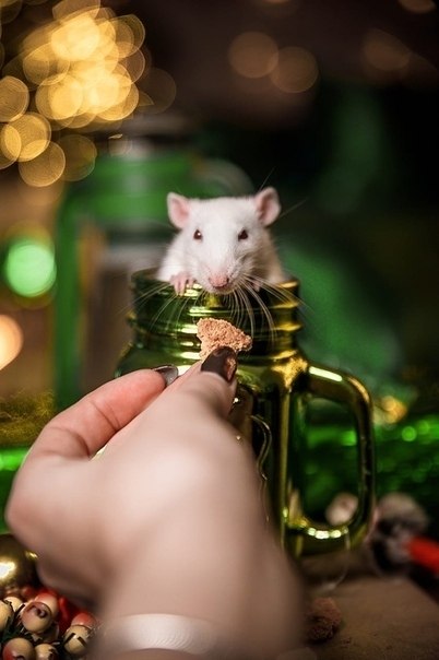 2020 o - o o o kk  k o  o kk kk   k! ... - 2