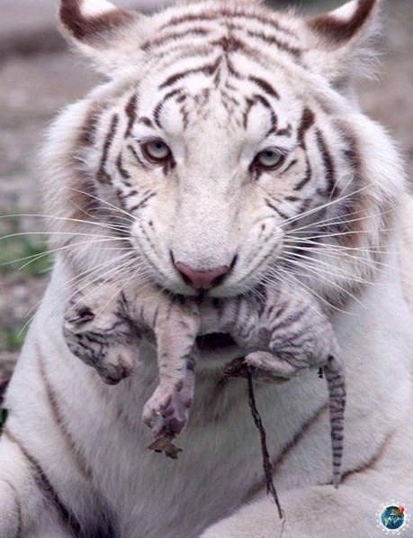  |  |   5 - 18  2020  19:01