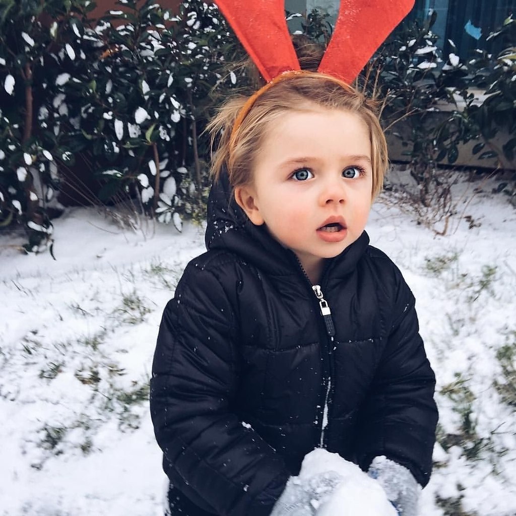    -  .  ,   ,      ... - 5