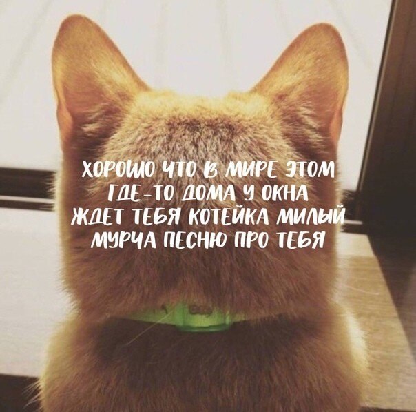    - 5  2020  18:28