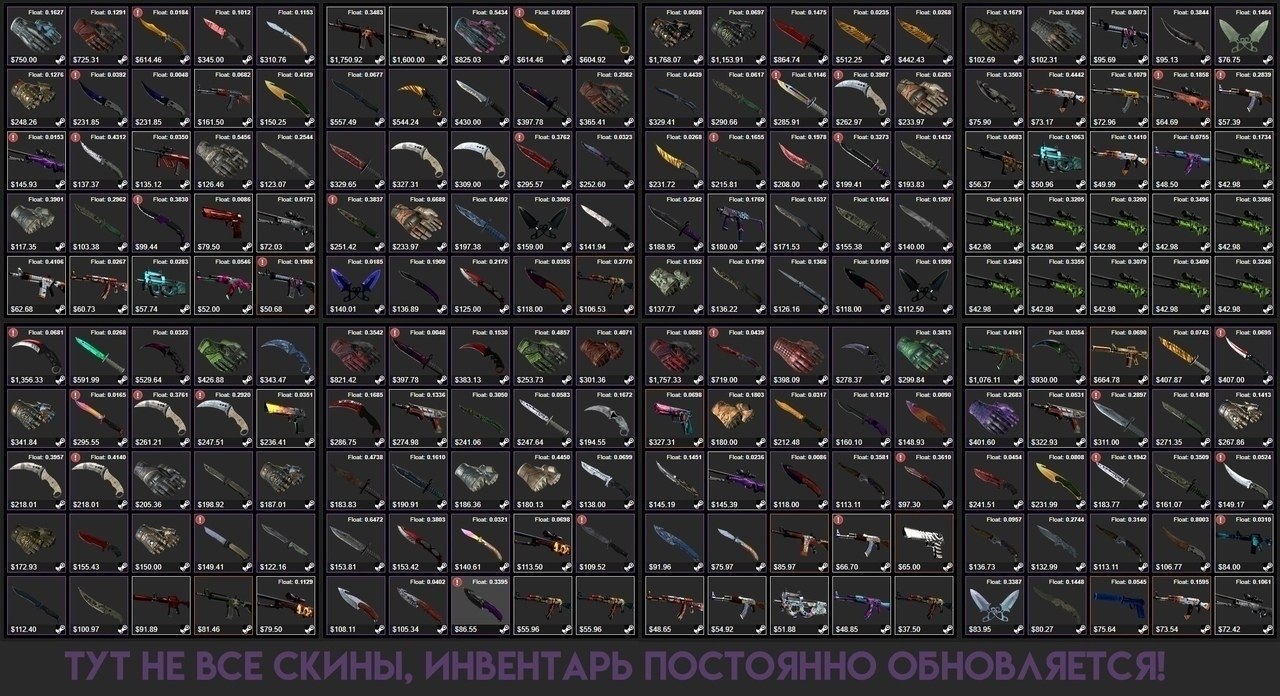 //  CS:GO  DOTA 2.     ,   . ...