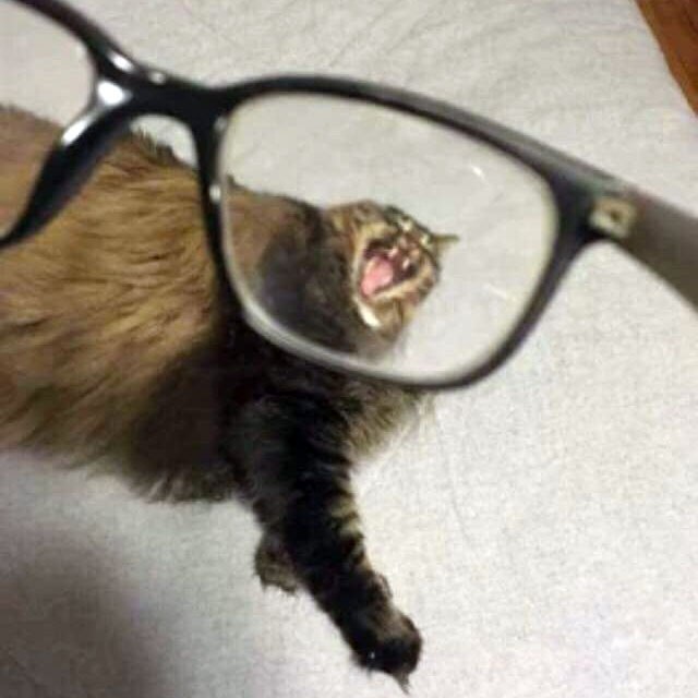 ,     -   - 7