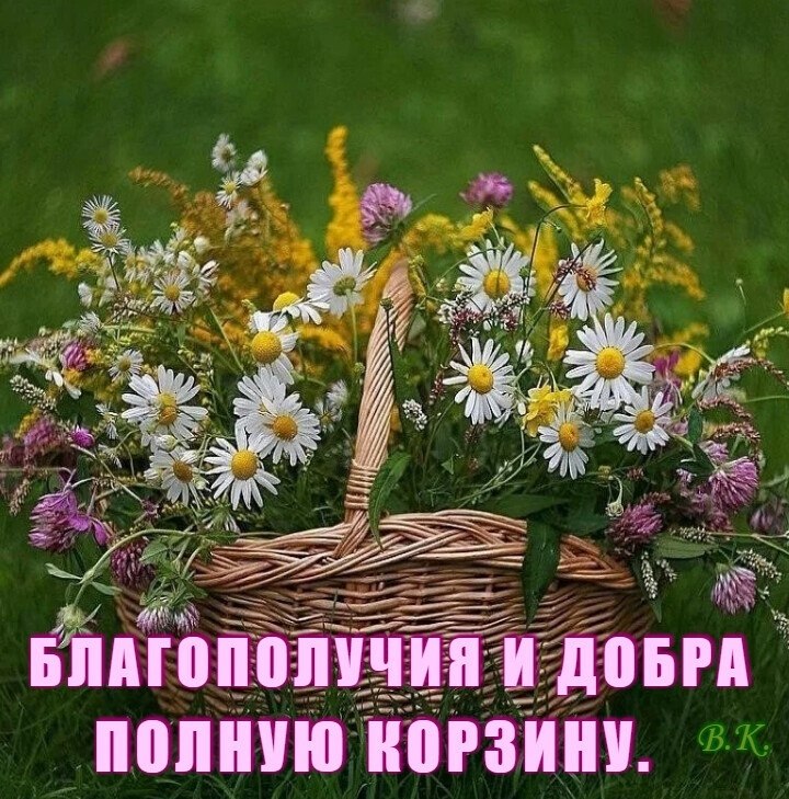   ,    . - 30  2020  13:51 - 5