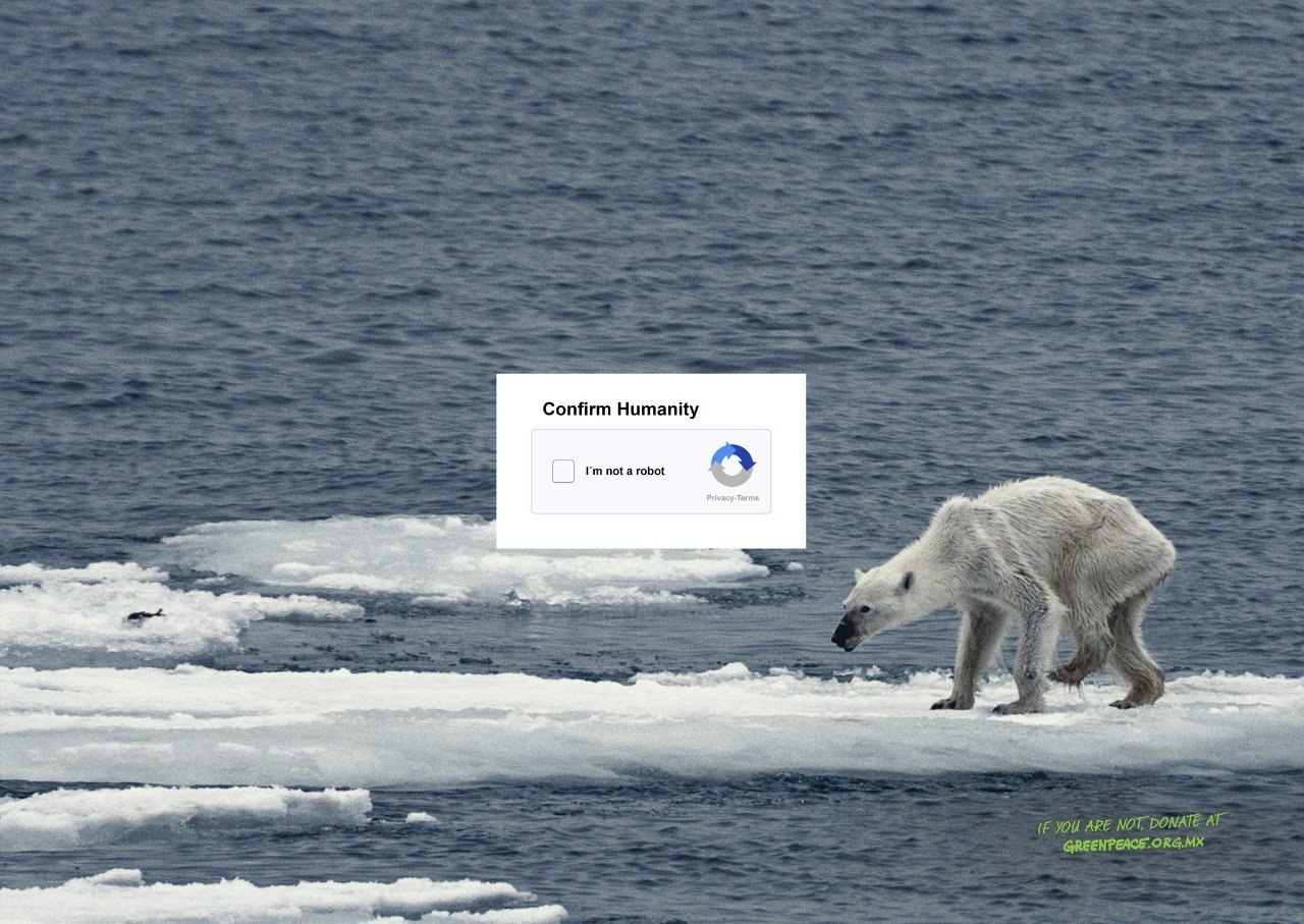 o o Greenpeace: 
