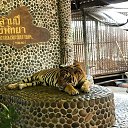 ���� ������, �����������, 48 ��� - ��������� 14 ���� 2020