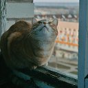 ���� Aimee, ���� - ��������� 16 ��� 2020