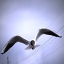 ���� ���, ��������� - ��������� 26 ������ 2020 � ������ ���� ����������