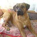 ���� ����, �������, 64 ���� - ��������� 7 ��� 2020 � ������ ���� ����������