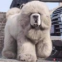 ���� M���, ���������, 42 ���� - ��������� 27 ��� 2020 � ������ ������ ��������