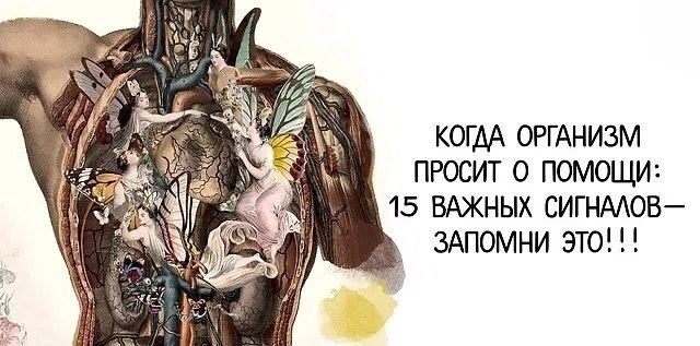 15 СИГНАЛОВ О БОЛЕЗНИ , КОТОРЫЕ ПОДАЕТ НАШ ОРГАНИЗМ. 1. Припухлые веки Таким образом организм может ...
