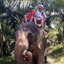  , , 40  -  17  2020   ɻ