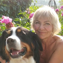 ���� �����, ������������, 64 ���� - ��������� 10 ���� 2020