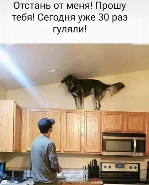 ������� - 5 ������ 2020 � 19:13