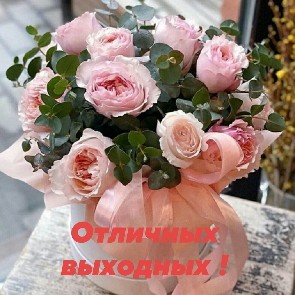   ,    . - 19  2020  21:54 - 3