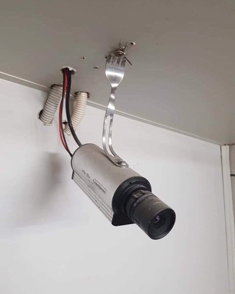    ))