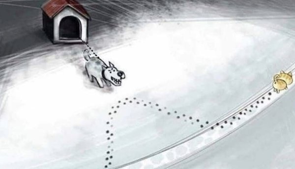 � ��� ������.