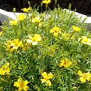  ,  -  3  2020     2020