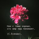 ���� ������, ��������� - ��������� 28 ���� 2020 � ������ ���� ����������