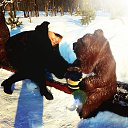 ���� ���, ����������� - ��������� 12 ������ 2020 � ������ ���� ����������