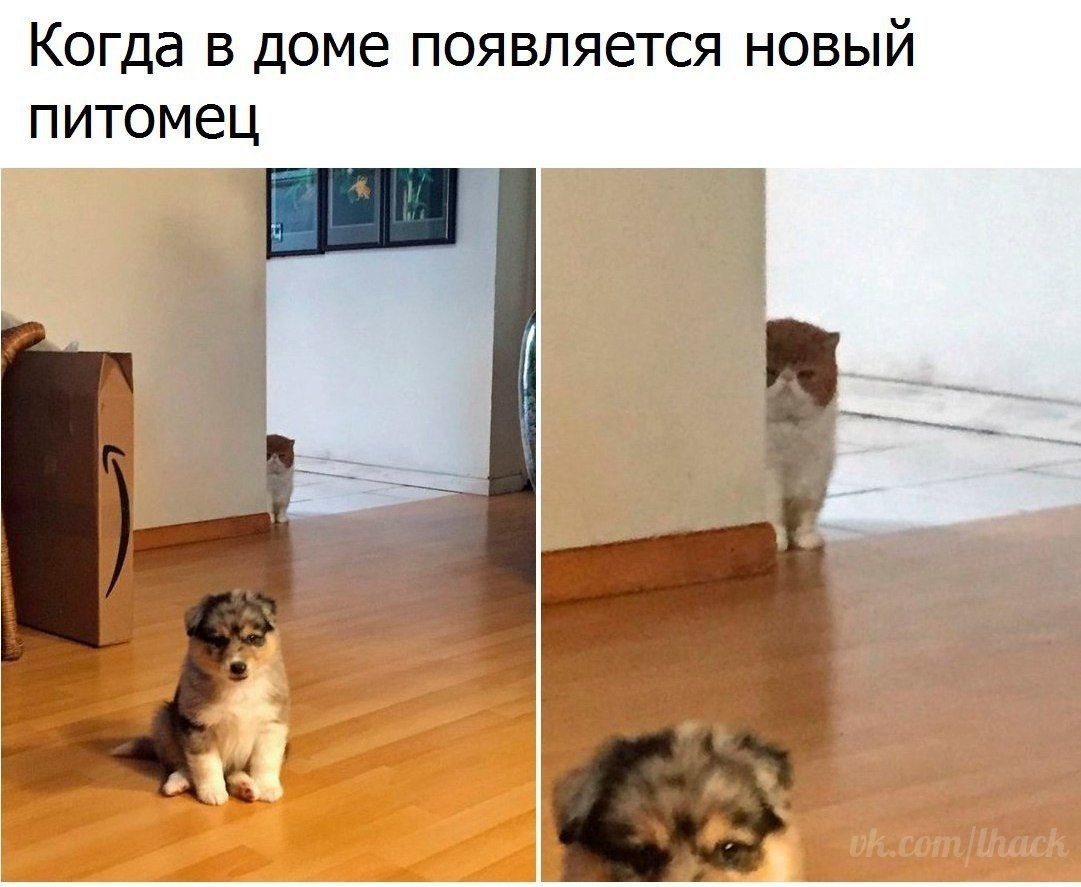  - 10  2020  19:13