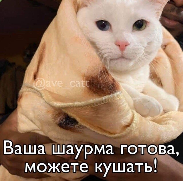   ,    - 3