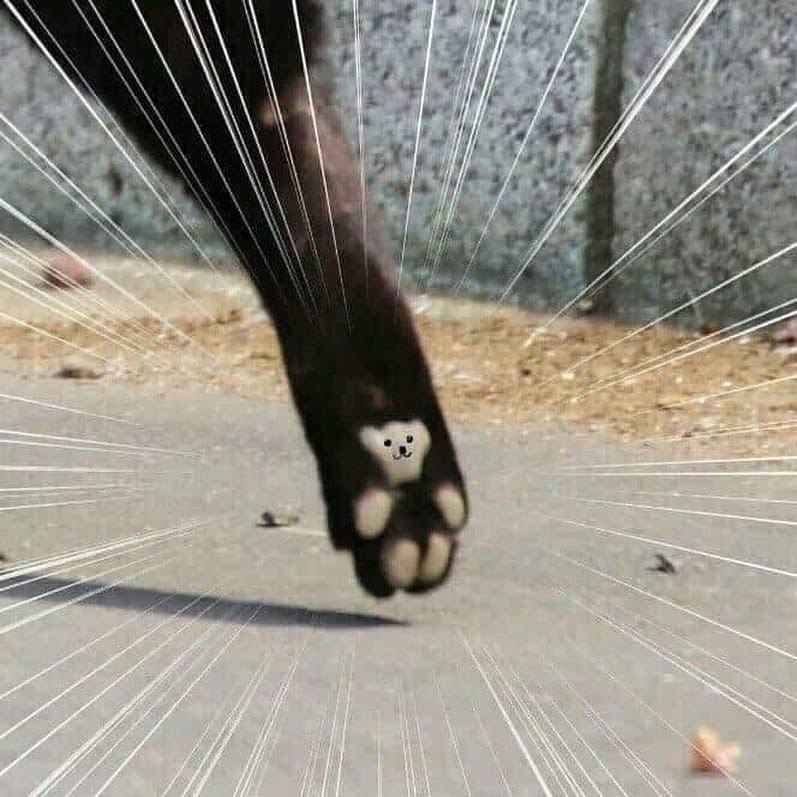 ! .   . - 3