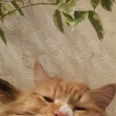 ���� ������, ������, 41 ��� - ��������� 26 ����� 2020