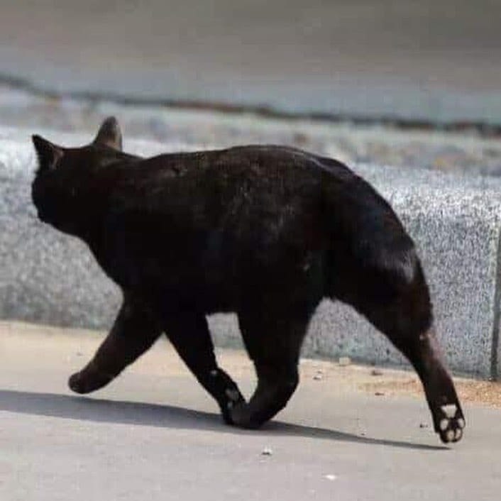! .   .