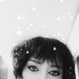 �������, ����������, 43 ����