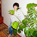 ���� ������, ������, 55 ��� - ��������� 1 ������� 2020 � ������ ���� ����������