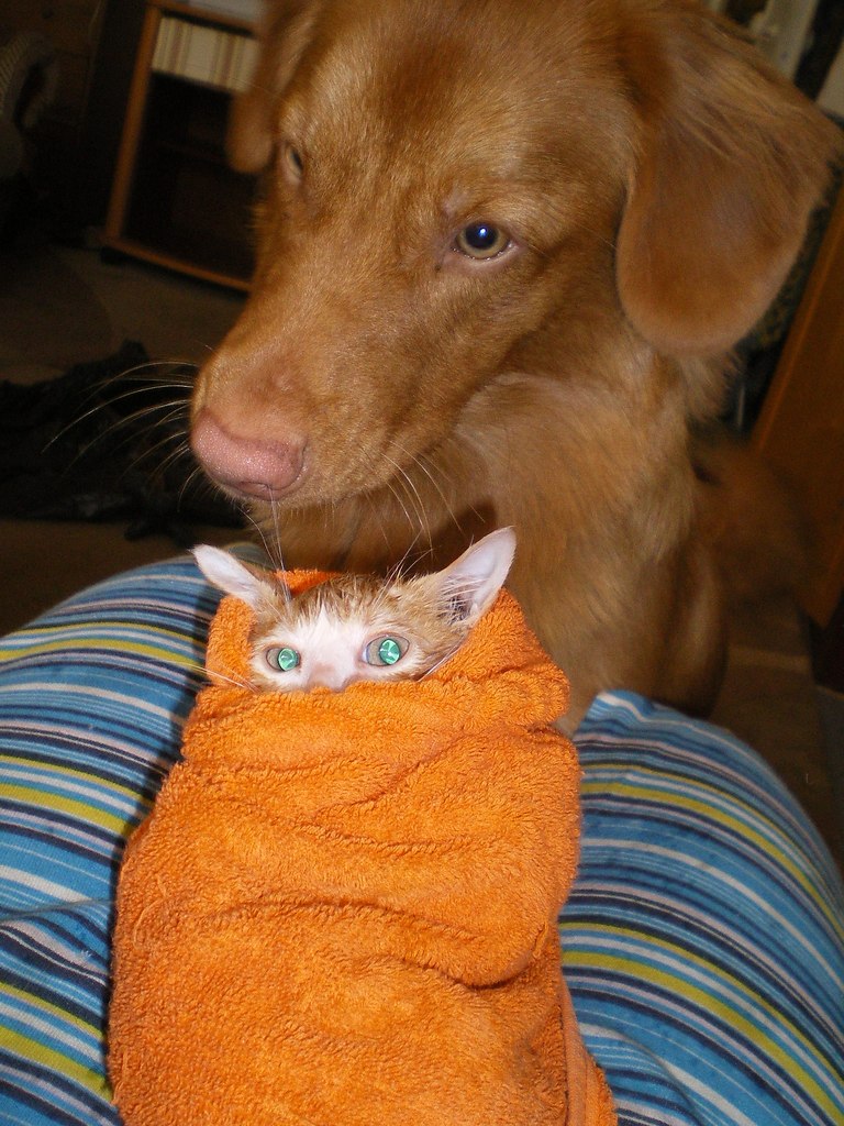 #_.    .  2012 ,  ,      , ...