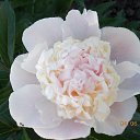 ���� ����, ������ - ��������� 11 ������ 2020 � ������ ���� ����������