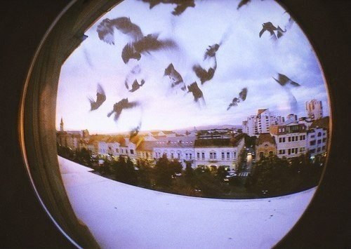 Ждать и надеяться — отличный способ сойти с ума.