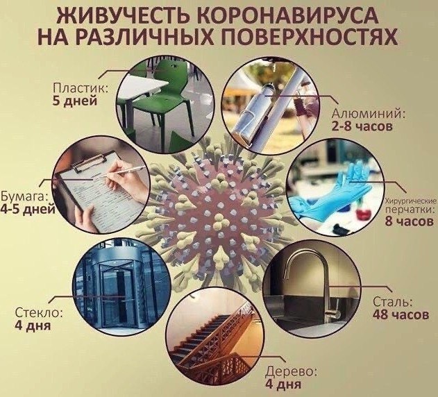 BEST | , ,  - 24  2020  19:03