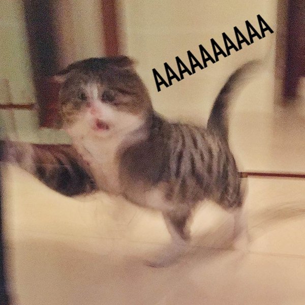     : - 4