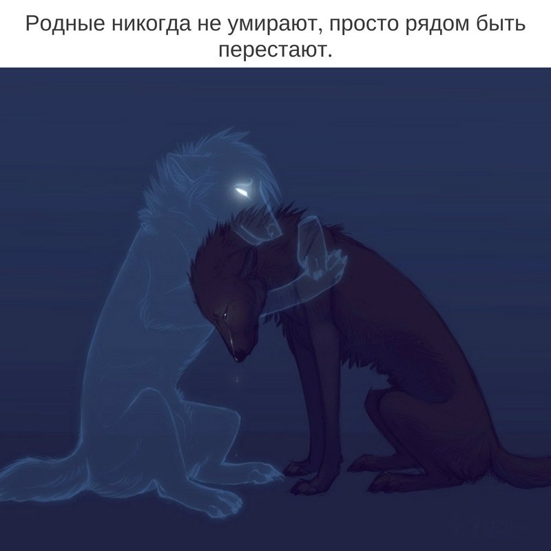  - 11  2020  20:18