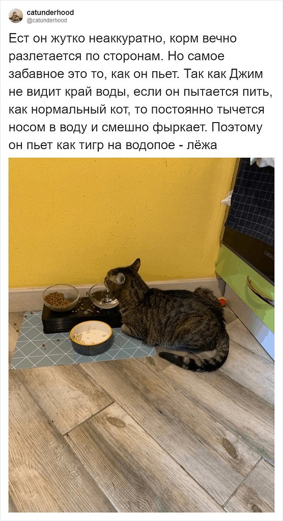  -  .        . - 6