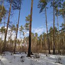 ���� �������, ���������, 60 ��� - ��������� 9 ����� 2020 � ������ ���� ����������