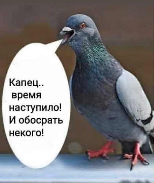 ������� - 6 ������ 2020 � 19:13