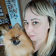 , 43 , 