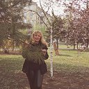 ���� ��������, ������ - ��������� 17 ������ 2020 � ������ ���� ����������