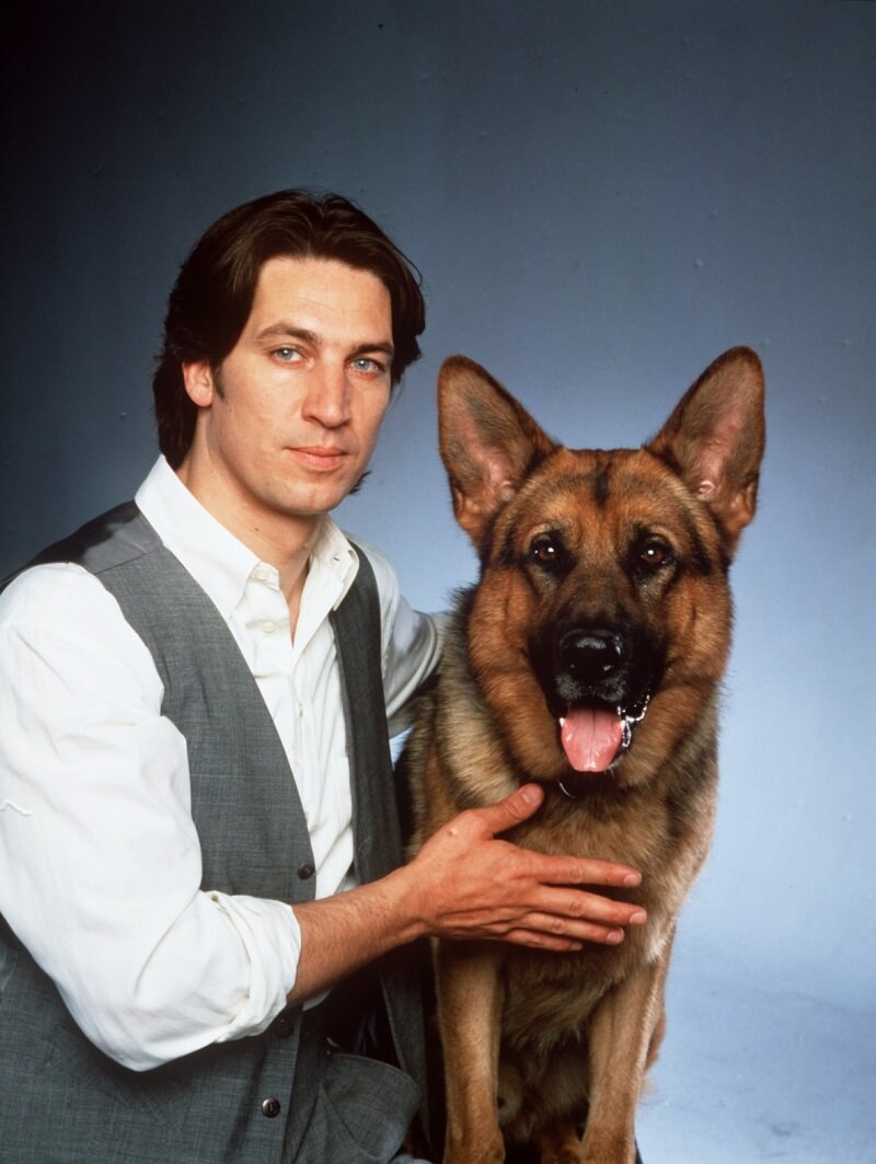   (1994)  .       ... - 2