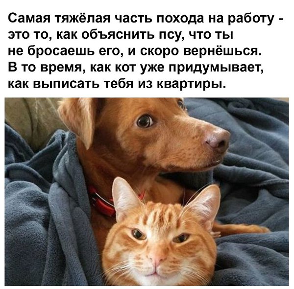 � �� �� ����� ��� �����