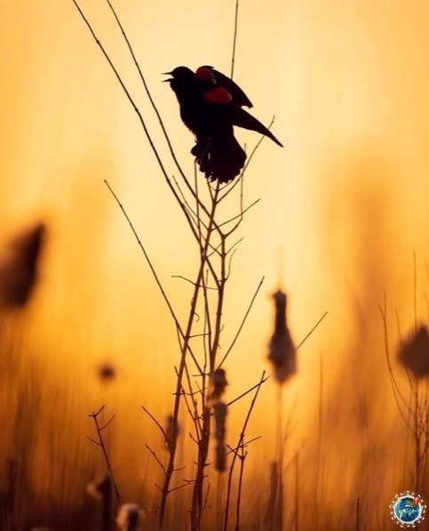  |  |   5 - 7  2020  18:59