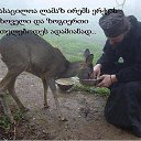 ���� Mesxi, �������, 50 ��� - ��������� 6 ��� 2020 � ������ ���� ����������