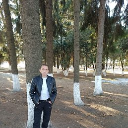 ������, ������, 53 ����