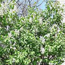 ���� �������, ��������� - ��������� 30 ������ 2020 � ������ ������������ � ��������