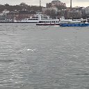 ���� Muharrem, �������, 56 ��� - ��������� 31 ����� 2020 � ������ ������ ��������