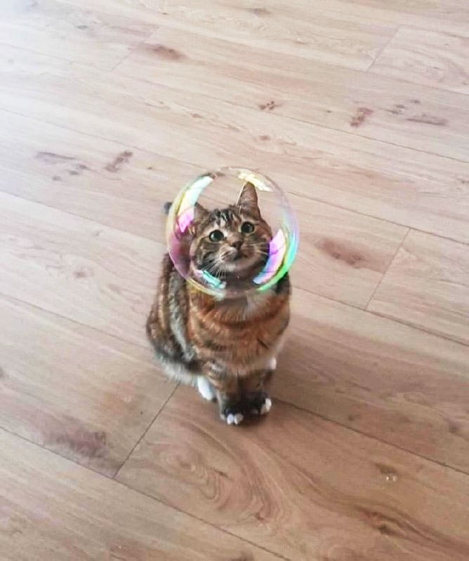      :3